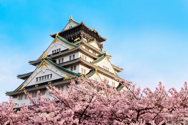 Un castillo japonés con tejados de tejas verdes y detalles dorados se alza sobre cerezos en flor rosados bajo un cielo azul claro.