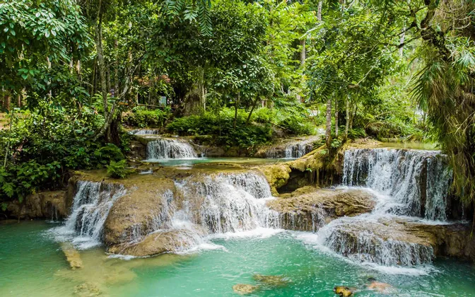 Un viaggio di gruppo WeRoad nuota in una piscina turchese alla base di una cascata a più livelli in una giungla lussureggiante.