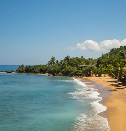 Una vista aérea de una playa tropical apartada con agua turquesa, arena dorada y exuberantes palmeras verdes bajo un cielo azul.