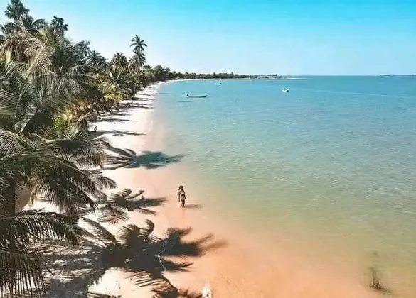 Vista aerea di una donna che cammina su una spiaggia tropicale sabbiosa, delimitata da palme le cui ombre si proiettano sulla sabbia.