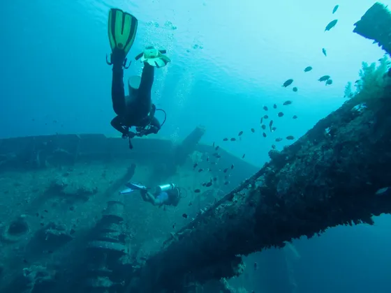 Zwei Taucher einer WeRoad-Gruppenreise erkunden ein versunkenes Schiffswrack unter Wasser, während Fischschwärme vorbeischwimmen.
