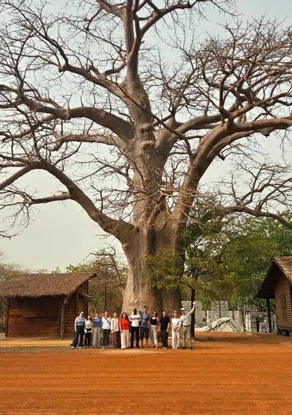 Eine WeRoad-Gruppe posiert für ein Foto auf roter Erde vor einem riesigen, blattlosen Baobab-Baum.