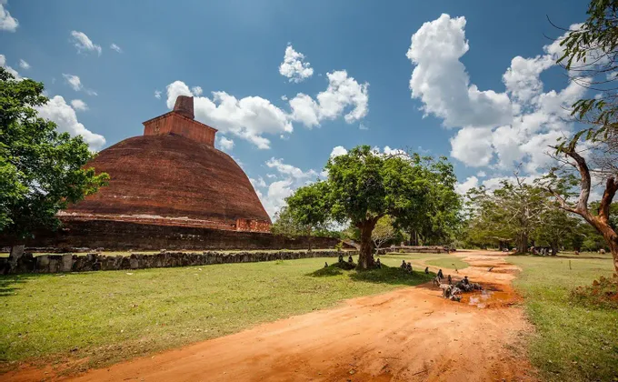 Ein großer, roter Ziegelstupa steht auf einem grasbewachsenen Feld neben einem Feldweg, wo sich eine Gruppe Affen an einer Pfütze unter blauem Himmel versammelt hat.