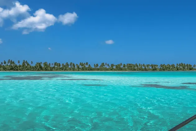 Una lontana costa tropicale fiancheggiata da palme, visibile attraverso acque limpide e turchesi sotto un cielo azzurro.