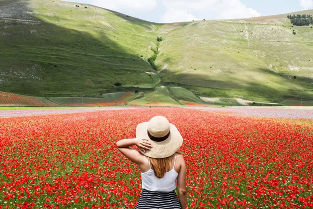 Una donna con un cappello di paglia guarda un vasto campo di papaveri rossi, con una grande collina verde che si erge sullo sfondo.