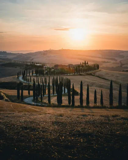 Una strada tortuosa, fiancheggiata da alti cipressi, conduce su una collina ondulata verso una villa al tramonto.