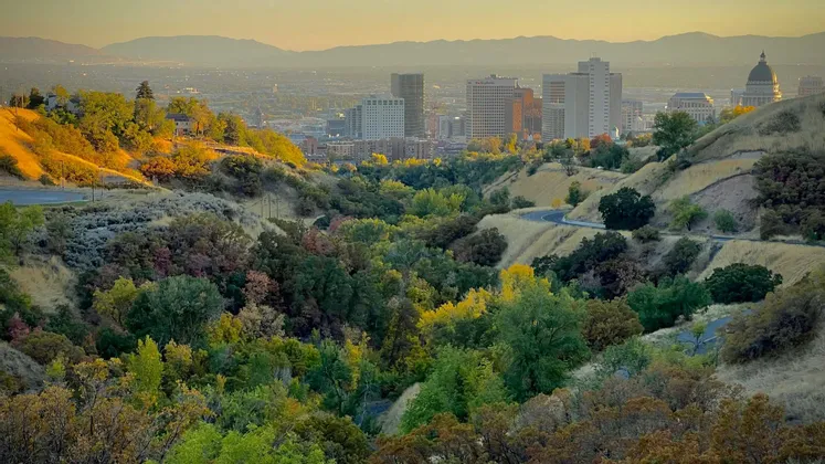 A city skyline with a domed capitol, viewed from rolling hills covered with trees during a golden sunset.