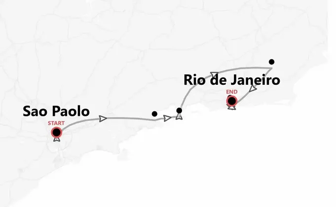 Brazil Beach Life: Palms, Parties & Paradise