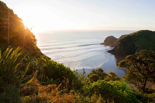 View from a lush green cliff of a sunlit coastline with gentle waves rolling onto a sandy beach cove.