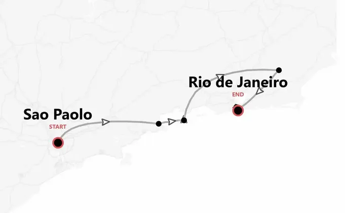 Brazil Beach Life: Palms, Parties & Paradise