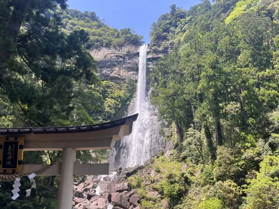 Una cascata imponente scende da una scogliera rocciosa in una fitta foresta, vista da dietro il tetto di un tradizionale torii giapponese.