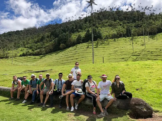 Un viaje en grupo de WeRoad posando para una foto en un tronco caído en un valle verde con altas palmeras.