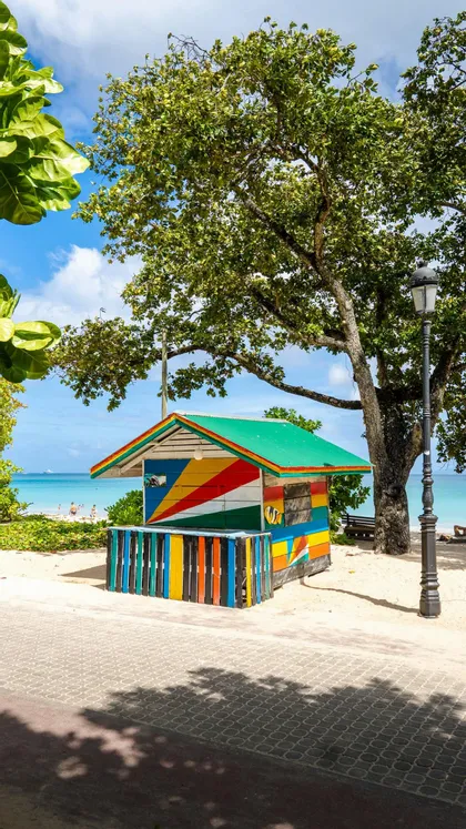 Ein farbenfroher Holzkiosk mit grünem Dach steht an einem Sandstrand unter einem großen Baum, im Hintergrund der türkisfarbene Ozean.