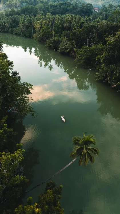 Luftaufnahme einer Person auf einem Stand-Up Paddleboard auf einem ruhigen Fluss, der durch einen üppigen, grünen Dschungel fließt.