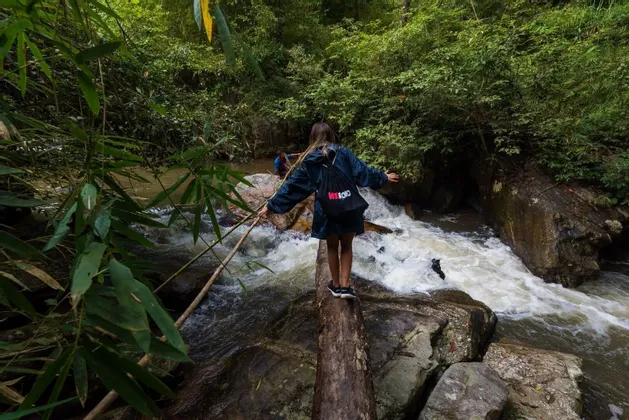 Una persona de un viaje en grupo de WeRoad hace equilibrio sobre un tronco para cruzar un río caudaloso en un denso bosque verde.