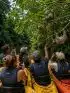 Un gruppo WeRoad in canoa ammira diversi bradipi appesi ai rami degli alberi in una giungla lussureggiante.