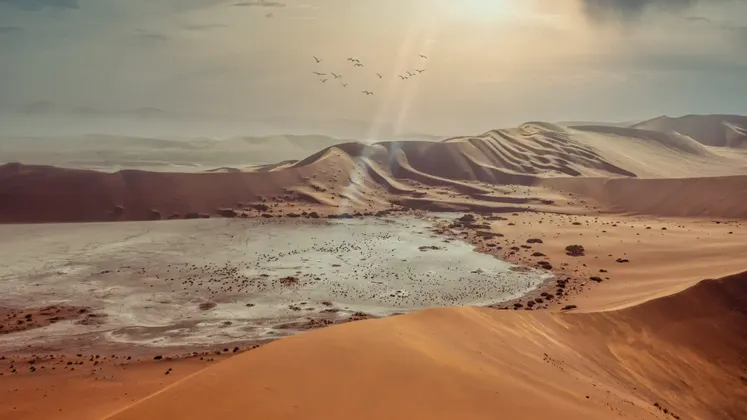 Un vaste paysage désertique avec des dunes de sable orange ondulantes, un lit de lac asséché et une volée d'oiseaux volant dans le ciel ensoleillé.