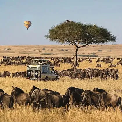 Un viaggio di gruppo WeRoad osserva un branco di gnu da un veicolo safari nella savana mentre una mongolfiera fluttua nel cielo.