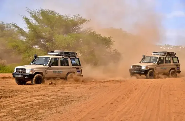 Dos jeeps de safari de un viaje en grupo de WeRoad levantan polvo mientras conducen por un camino arenoso con árboles al fondo.