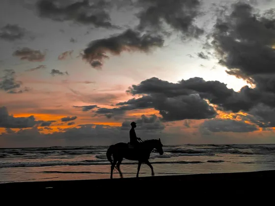 Silueta de caballo y jinete en la playa al atardecer nublado.