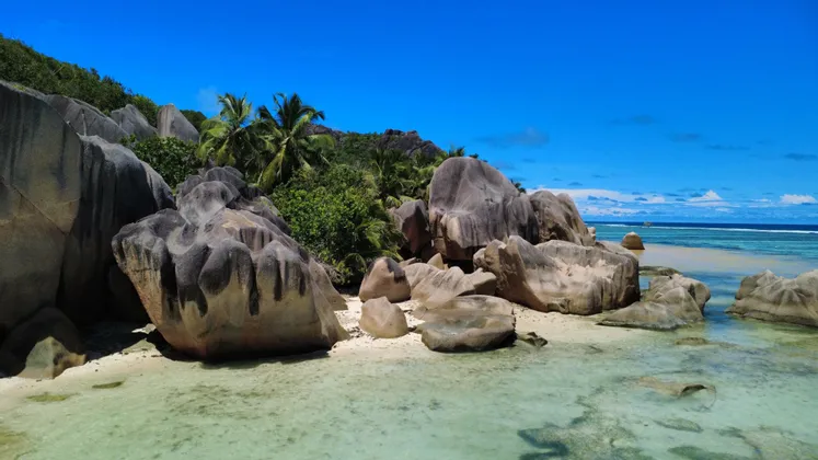 Grandi massi di granito levigati riposano su una spiaggia sabbiosa, accarezzata da acque turchesi limpide e poco profonde, con palme sullo sfondo.
