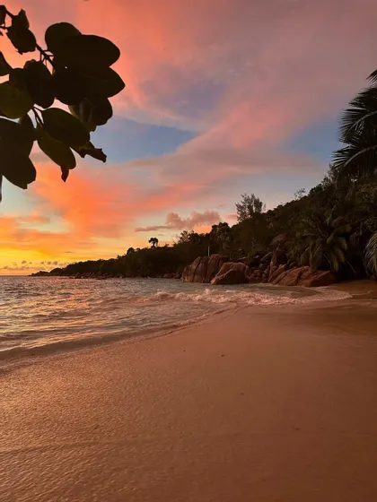 Una spiaggia sabbiosa al tramonto con dolci onde, una costa rocciosa e alberata e un cielo arancione e rosa.