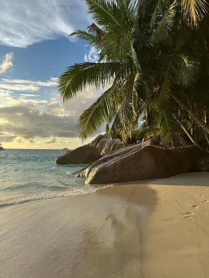 Una spiaggia sabbiosa con grandi rocce e palme a strapiombo accanto all'acqua turchese dell'oceano sotto un cielo nuvoloso.