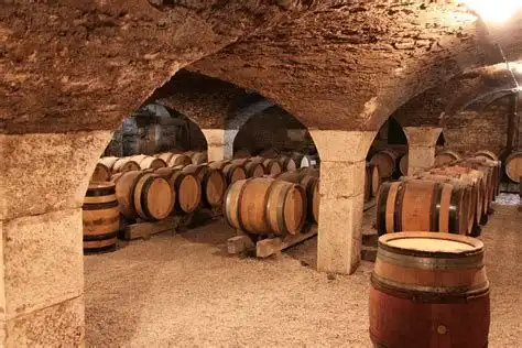 Reihen von Holzfässern ruhen auf Gestellen in einem alten steinernen Weinkeller mit Gewölbedecken und dicken Säulen.