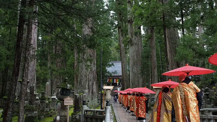Una processione di monaci con tuniche arancioni e dorate che tengono ombrelli rossi cammina su un sentiero di pietra attraverso una foresta verso un tempio.