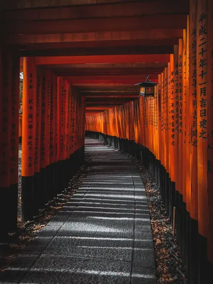 Un sentiero di pietra tortuoso attraversa un tunnel di pali di legno rosso-arancione con scritte giapponesi, proiettando ombre a strisce sul percorso.
