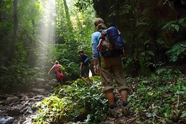 Un viaggio di gruppo WeRoad fa trekking su un sentiero roccioso attraverso una giungla lussureggiante mentre i raggi del sole filtrano tra gli alberi.