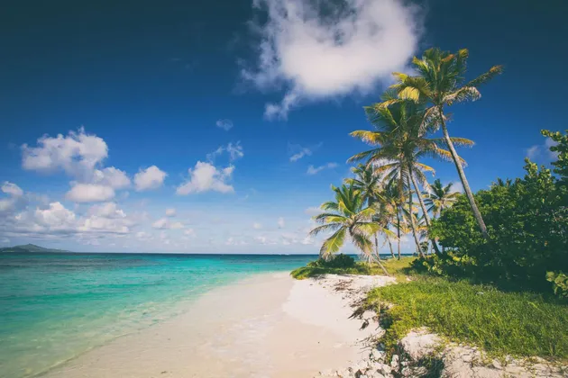 Des palmiers poussent au bord d'une plage de sable blanc, à côté d'une eau calme et turquoise sous un ciel bleu.