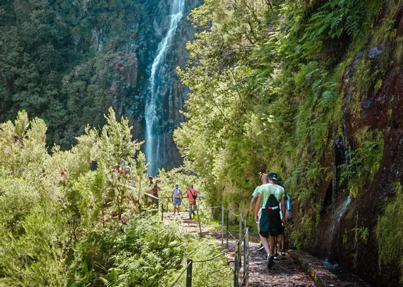 Un viaggio di gruppo WeRoad percorre uno stretto sentiero di pietra attraverso una foresta lussureggiante, con un'alta cascata visibile sullo sfondo.
