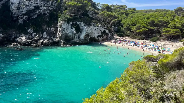 Vista dall'alto di una spiaggia affollata in una caletta con acqua turchese, scogliere rocciose e una vegetazione lussureggiante.