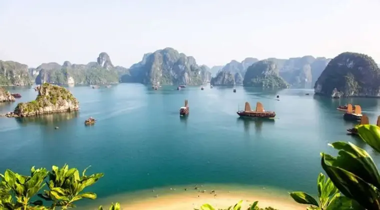 Una vista panoramica di diverse imbarcazioni tradizionali che solcano una baia tranquilla, costellata di grandi faraglioni carsici ricoperti di verde.