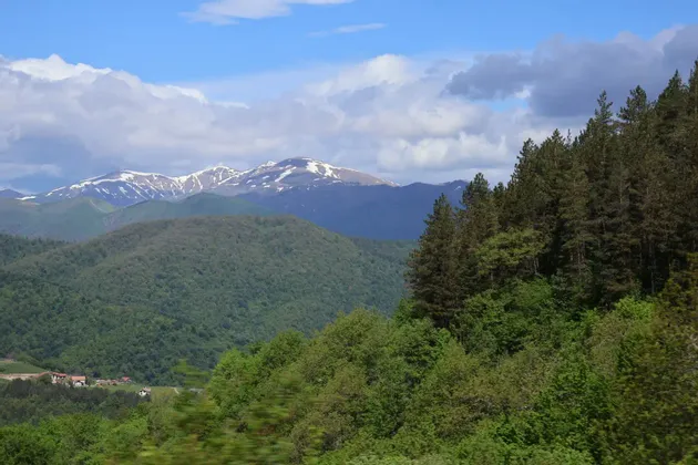 Eine weite Landschaft mit sanften, grünen, bewaldeten Hügeln und einer fernen, schneebedeckten Bergkette unter einem teilweise bewölkten blauen Himmel.
