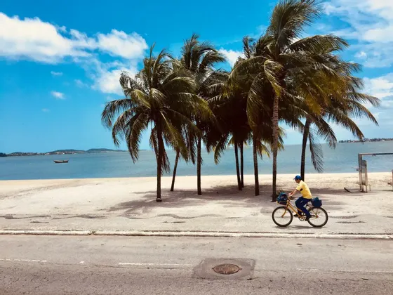 Una persona in maglietta gialla va in bicicletta su una strada accanto a una spiaggia sabbiosa con alte palme sotto un cielo azzurro.