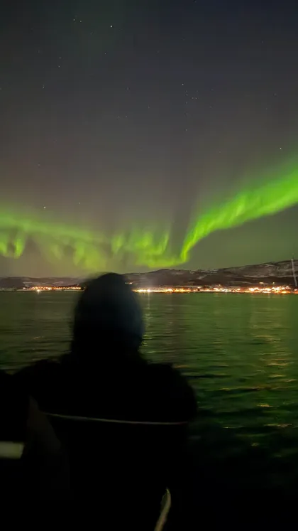 A person's silhouette looks out at the green aurora borealis over the water at night, with a distant lit shoreline.