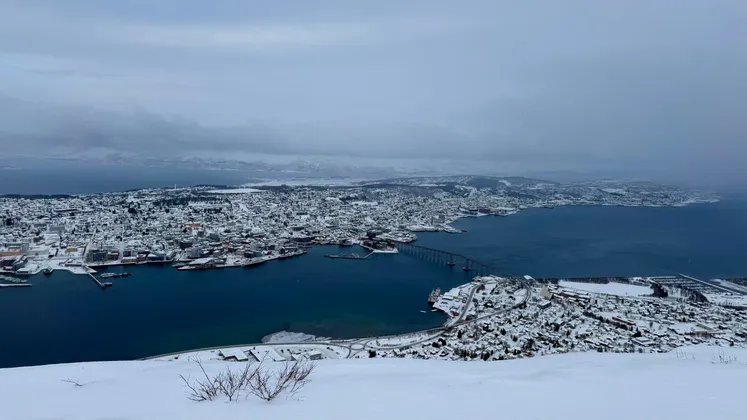A high-angle view of a snow-covered city on a peninsula, with a bridge crossing the dark water under an overcast sky.