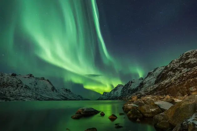 Grüne Lichter der Nordlichter erhellen einen sternenklaren Nachthimmel über einem Fjord und schneebedeckten Bergen.