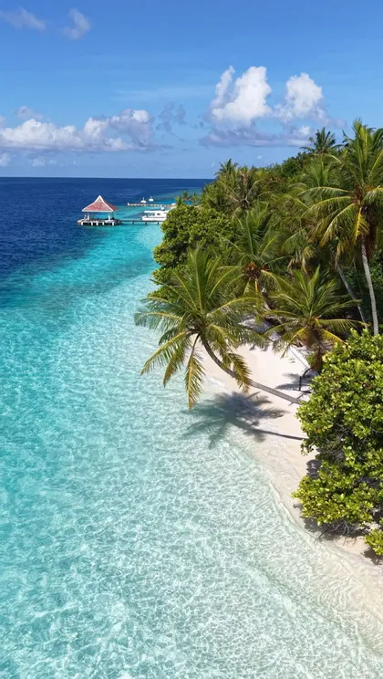Palmen säumen einen weißen Sandstrand neben klarem, türkisblauem Ozeanwasser mit einem kleinen Steg im Hintergrund.