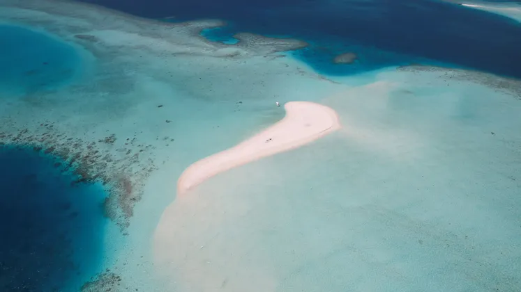 Luftaufnahme einer geschwungenen weißen Sandbank, umgeben von klarem, türkisblauen Ozeanwasser und Korallenriffen.