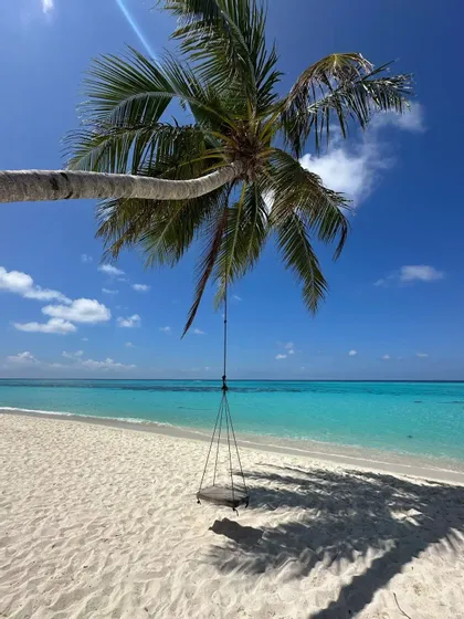 Eine Holzseilschaukel hängt an einer geneigten Palme über einem weißen Sandstrand am türkisfarbenen Ozeanwasser.
