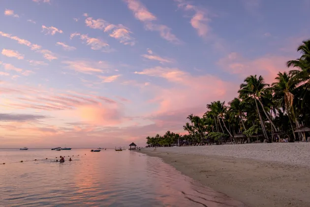 Una spiaggia di sabbia fiancheggiata da palme, con persone che nuotano nell'oceano calmo sotto un cielo al tramonto rosa e viola.