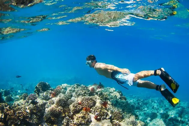 Eine Person mit Schnorchelmaske und Flossen schwimmt horizontal über einem Korallenriff in klarem blauem Wasser.
