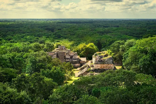 An aerial view of ancient stone pyramid ruins emerging from the canopy of a vast, dense green jungle.