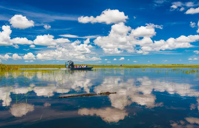 Un gruppo WeRoad a bordo di un airboat naviga in una palude, con un alligatore che nuota in primo piano sotto un cielo azzurro nuvoloso.