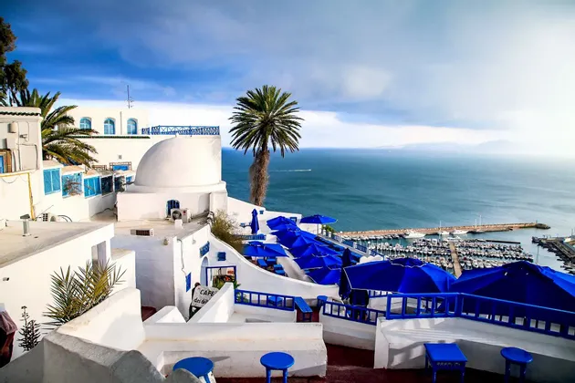 Edifici bianchi con accenti blu e una palma su una collina che si affaccia su un porto turistico pieno di barche.