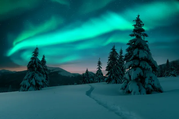 The green aurora borealis glows in a starry night sky above a snowy landscape with pine trees and mountains.