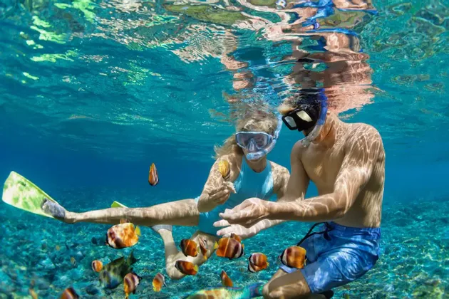 Un hombre y una mujer con equipo de snorkel están bajo el agua, alimentando un banco de peces tropicales de colores en agua azul clara.